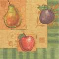 divers0110-1.jpg (2724 octets)