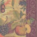 divers0122-1a.jpg (3025 octets)