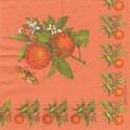 image0134.jpg (4490 octets)