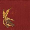 divers0173-1a.jpg (2021 octets)