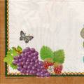 divers0179-1a.jpg (3184 octets)