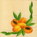 divers0193-1.jpg (2835 octets)