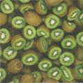 exo0014-1b.jpg (3791 octets)