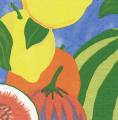 exo0022-1.jpg (3372 octets)