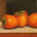 exo0064-1.jpg (2509 octets)