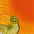exo0065-1a.jpg (2434 octets)