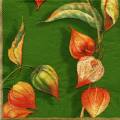 exo0066-3a.jpg (3503 octets)