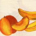exo0086-1a.jpg (2912 octets)
