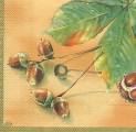 foret0001-2a.jpg (3312 octets)