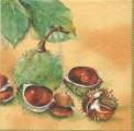 foret0001-2b.jpg (3190 octets)