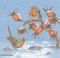 foret0003a.jpg (3537 octets)