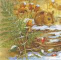 foret0005a.jpg (4374 octets)