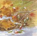 foret0005b.jpg (4063 octets)