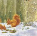 foret0005d.jpg (3679 octets)