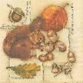 foret0006-2.jpg (3761 octets)
