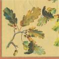 foret0008-1a.jpg (3353 octets)
