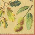 foret0008-1b.jpg (3267 octets)