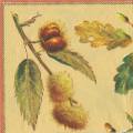 foret0008-1c.jpg (3268 octets)