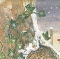 foret0011c.jpg (3891 octets)