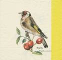 foret0013-1b.jpg (2437 octets)