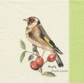 foret0013b.jpg (2368 octets)