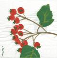 foret0015-1a.jpg (3502 octets)