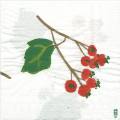 foret0015-1b.jpg (2737 octets)