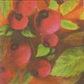 foret0016-1a.jpg (2847 octets)