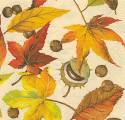 foret0017-1.jpg (4554 octets)