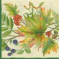 foret0026-1a.jpg (4575 octets)
