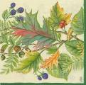 foret0026-1b.jpg (4472 octets)