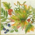 foret0026-2a.jpg (4591 octets)