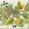 foret0026-2b.jpg (4496 octets)