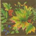 foret0026-3a.jpg (3783 octets)