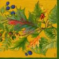 foret0026-4b.jpg (4233 octets)