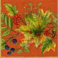 foret0026-5a.jpg (4087 octets)