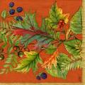 foret0026-5b.jpg (4142 octets)