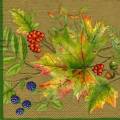 foret0026-6a.jpg (3749 octets)