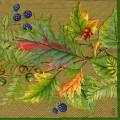 foret0026-6b.jpg (3843 octets)