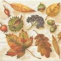 foret0027-1a.jpg (4151 octets)