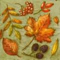 foret0027-2b.jpg (4029 octets)