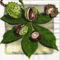 foret0028-2.jpg (5898 octets)