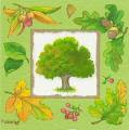 foret0029-2.jpg (3647 octets)
