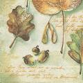 foret0031-1a.jpg (3810 octets)