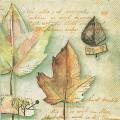 foret0031-1d.jpg (3681 octets)