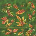 foret0034-2.jpg (4074 octets)