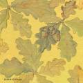 foret0037-1a.jpg (3005 octets)