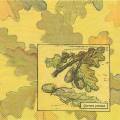 foret0037-1b.jpg (3344 octets)