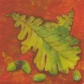 foret0041-1.jpg (3059 octets)