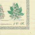 foret0044-1b.jpg (2801 octets)